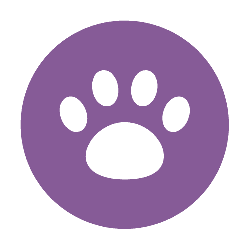 icon-17.png